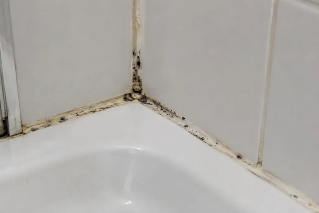 Kitbedrijf Driel – beschimmelde kitranden